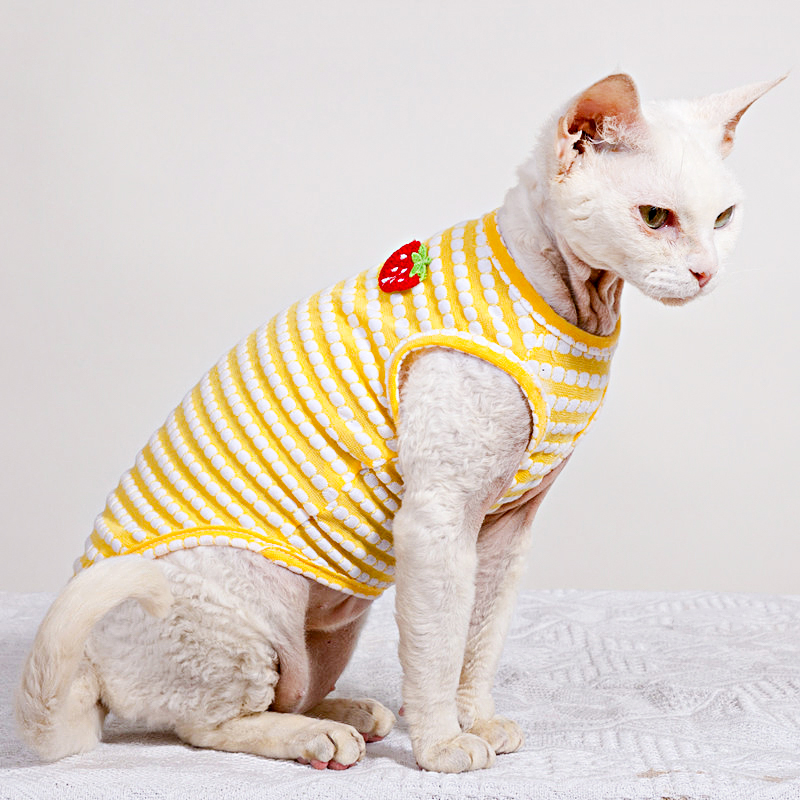 Letnia koszulka dla kota Sphyn – Soft Summer Yellow Clothing recenzja i cena